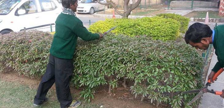 soft services | Radiant Facilities